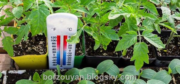 اندازه گیری دمای خاک گلخانه