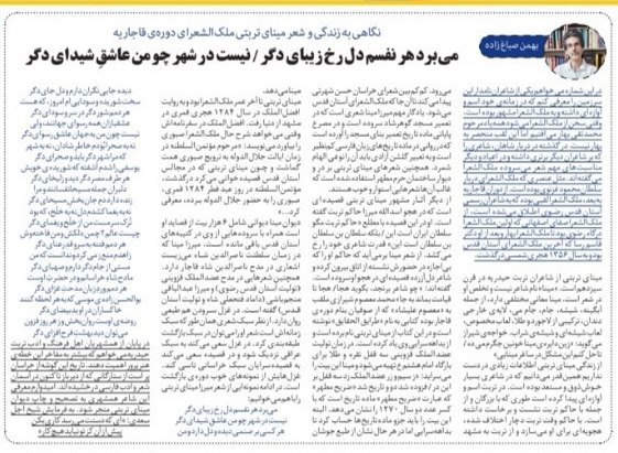 مینای تربتی