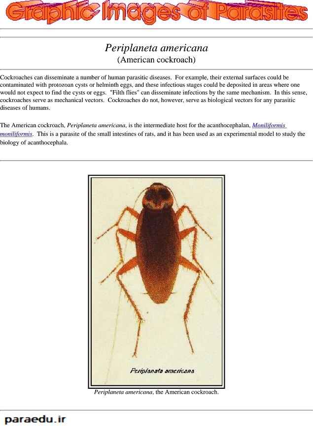 دانلود کتاب مصور انگل شناسی graphic images of parasites