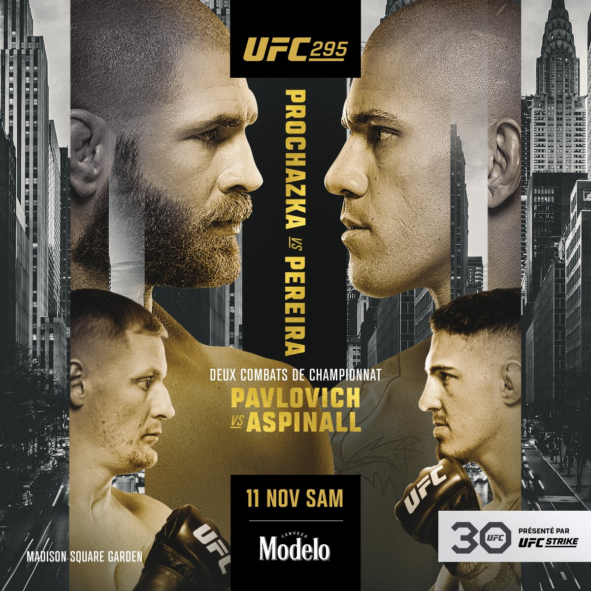 دانلود  رویداد یو اف سی   295:   UFC 295: Procházka vs. Pereira