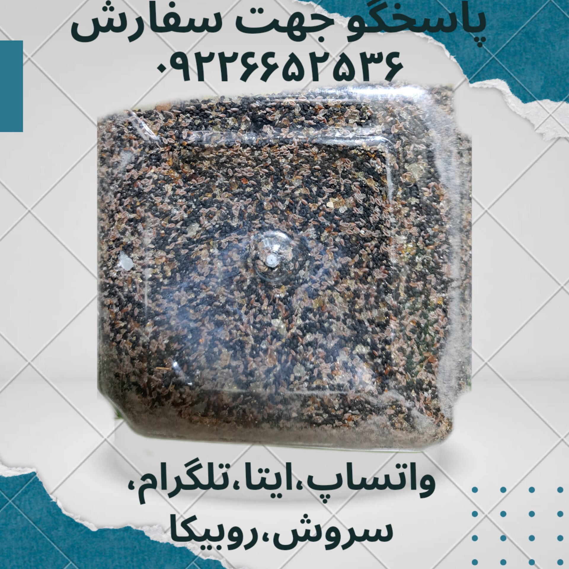 چهار تخم ۱۰۰ گرمی