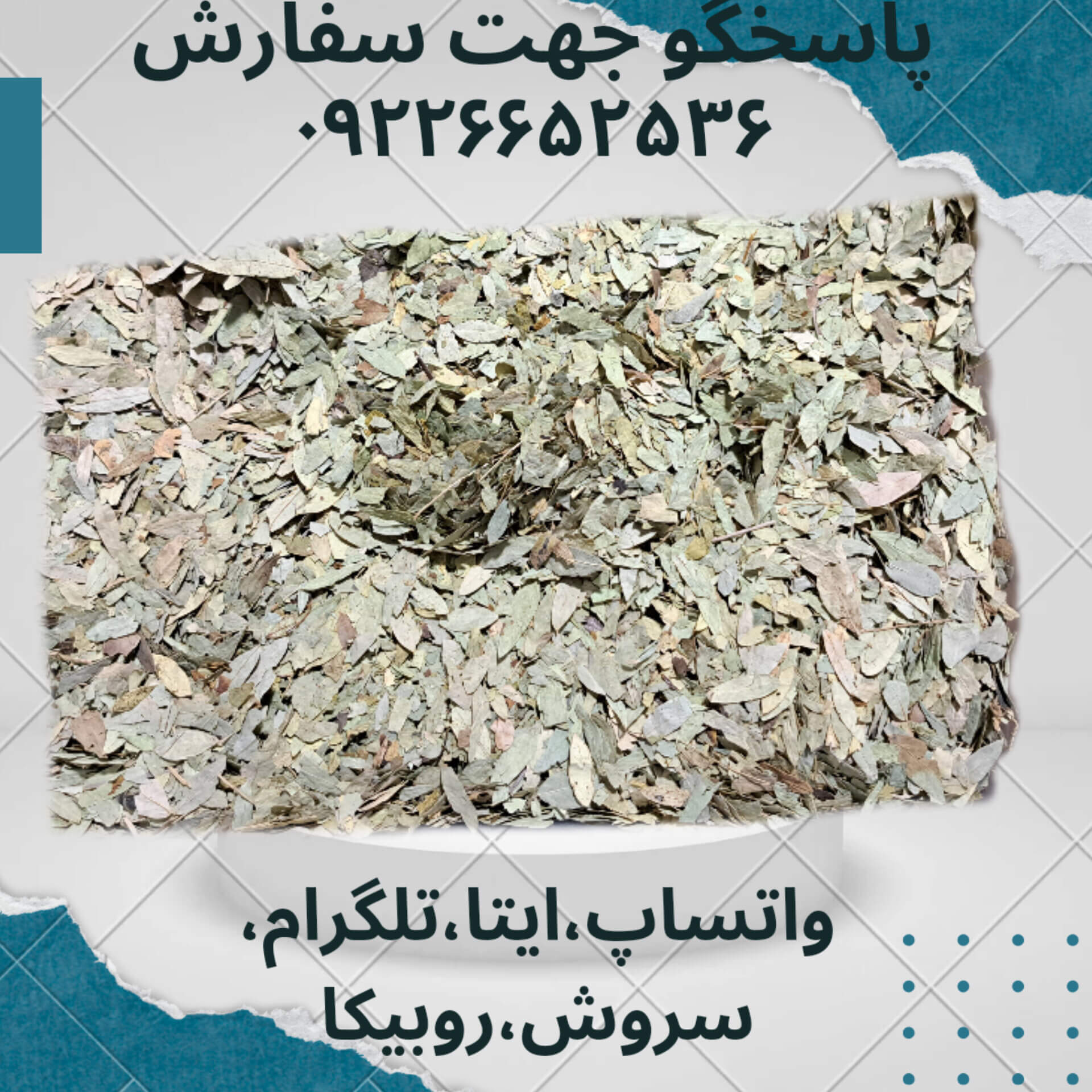 برگ سنا ۱۰۰ گرمی