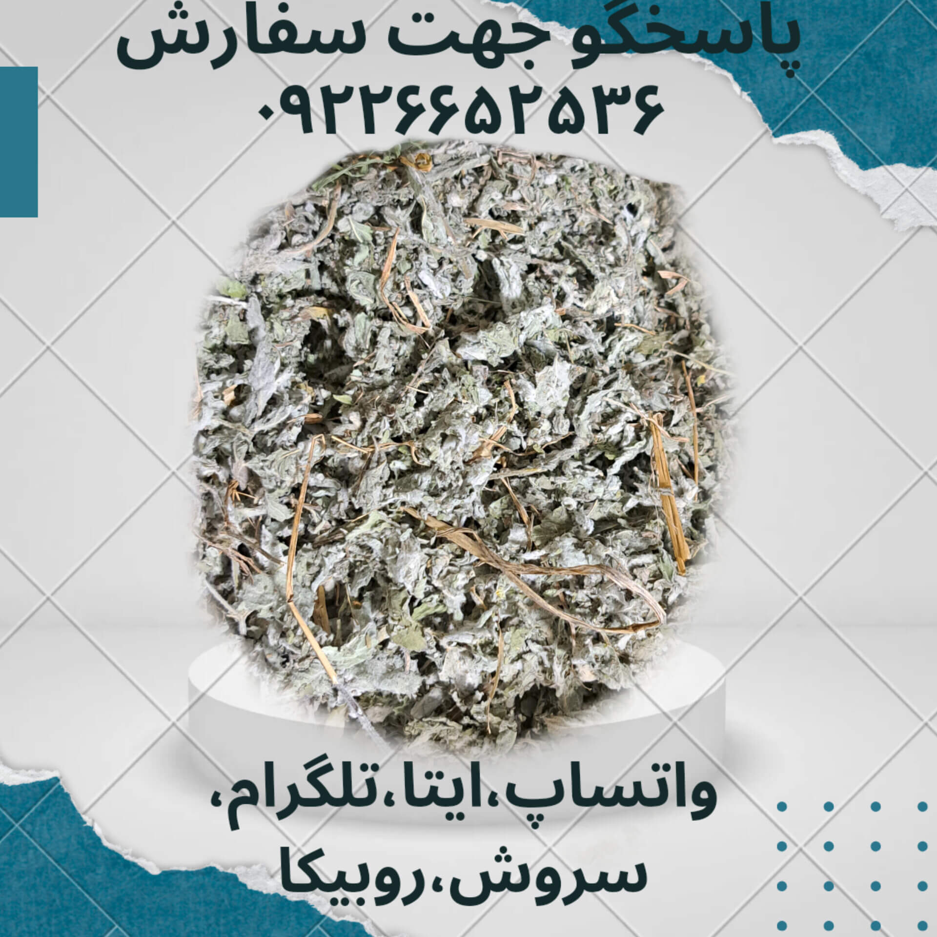 پونه خشک 100گرمی