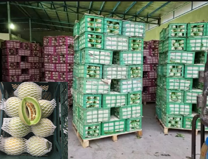 لوازم پالت بندی میوه و صیفی جات دزفول