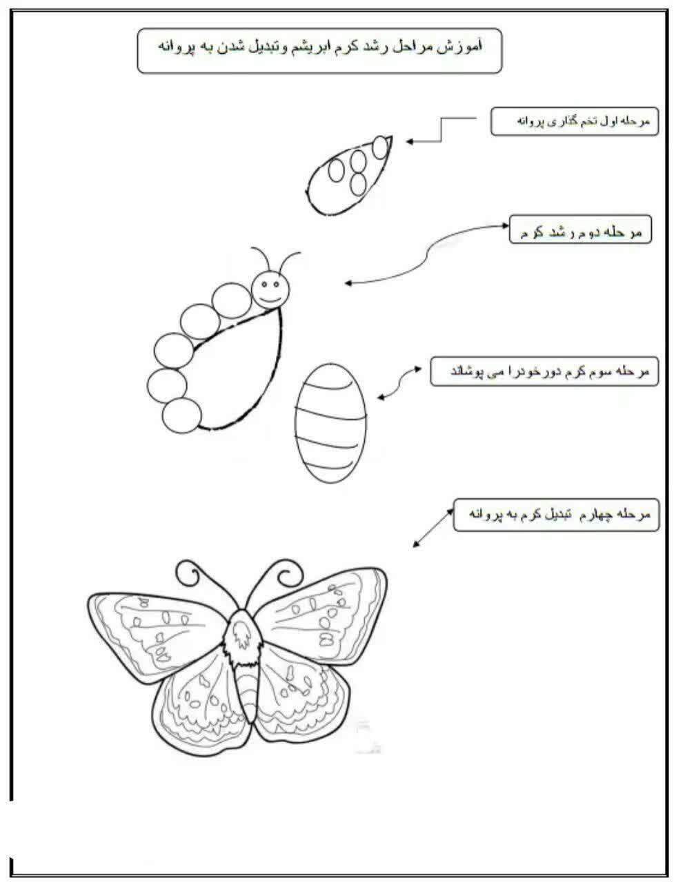 پس از هر سختی آسانی است