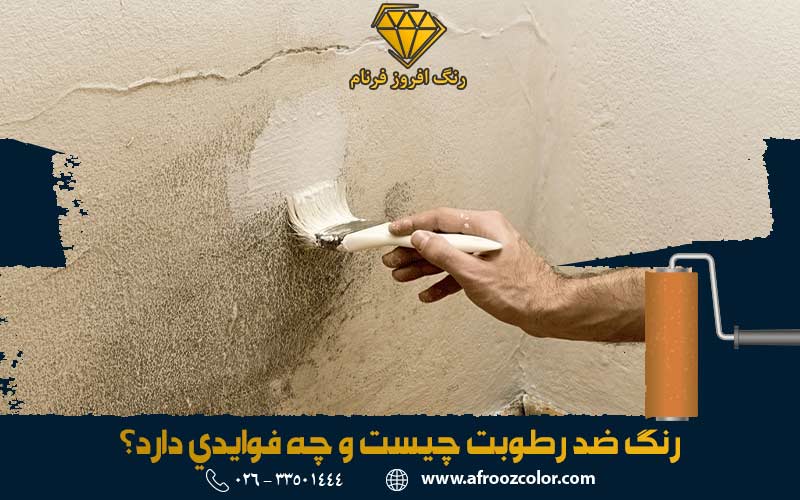 رنگ ضد رطوبت چیست و چه فوایدی دارد؟