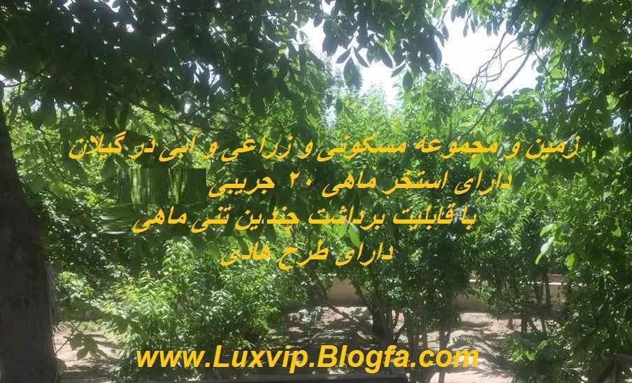 خرید زمین در گیلان