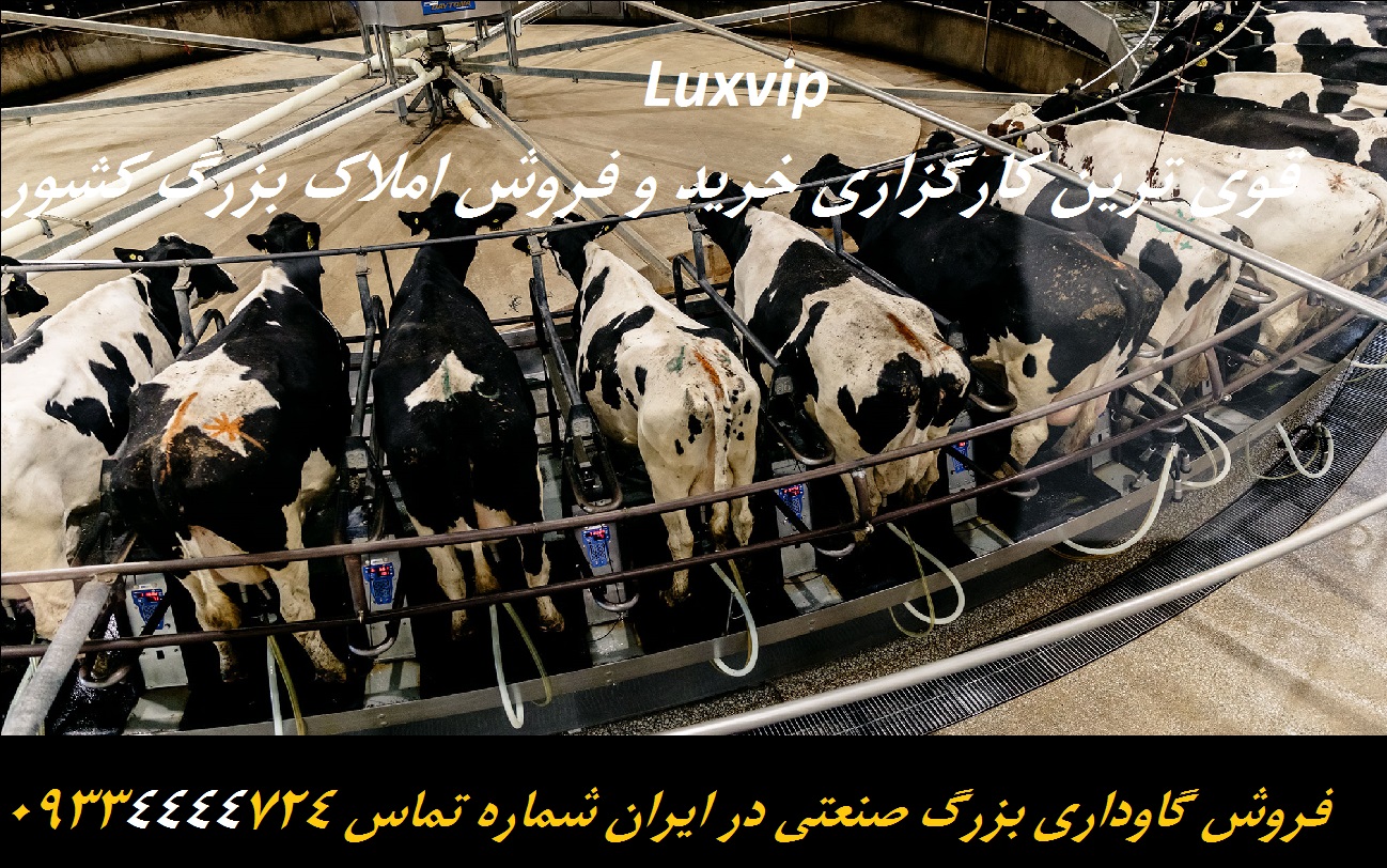 خرید گاوداری بزرگ
