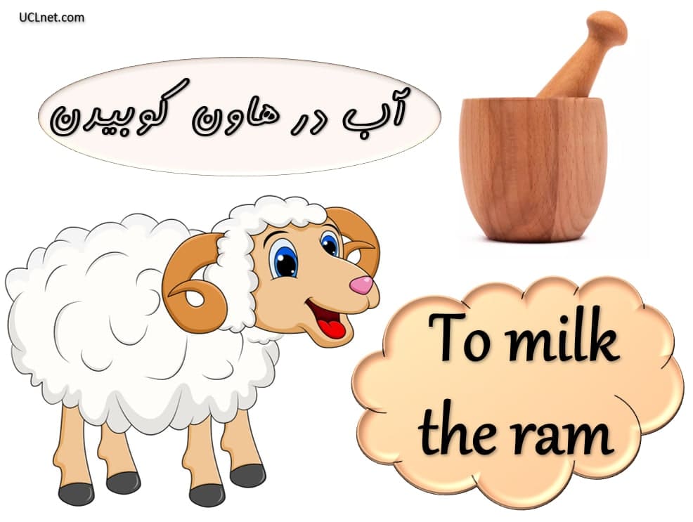 آب در هاون کوبیدن ، Milk the ram ، آموزش ضرب المثل های زبان انگلیسی ، English Proverb