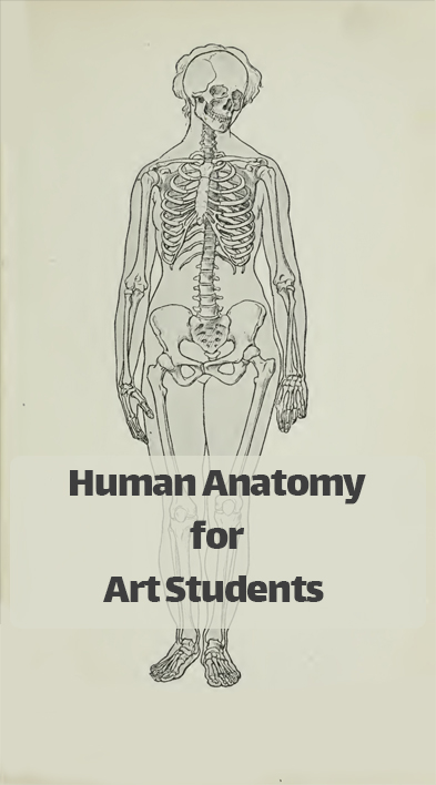 کتاب آناتومی انسان برای دانشجویان هنر - راولف تامپسون